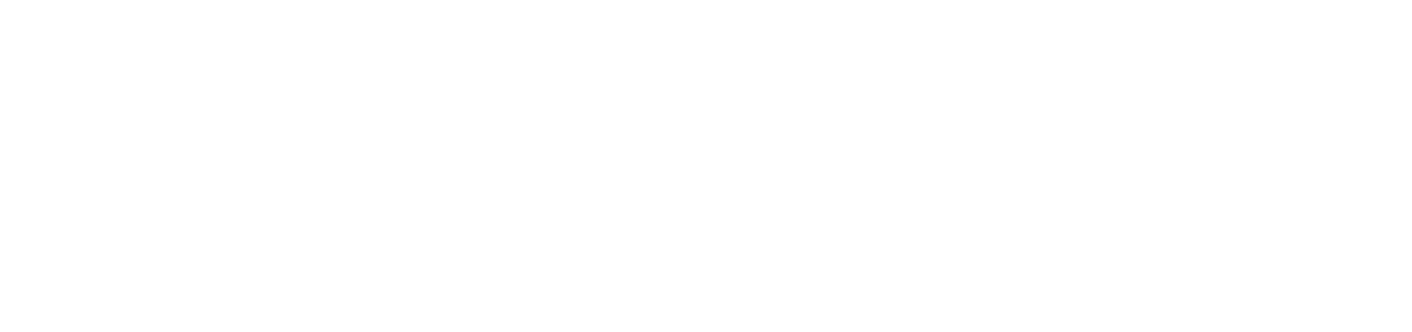 getnet logo ns