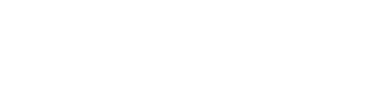 logo-pagonxt
