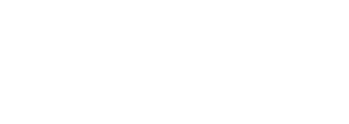 pagonxt logo ns